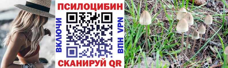 Псилоцибиновые грибы мухоморы  сайты даркнета Telegram  Белозерск 